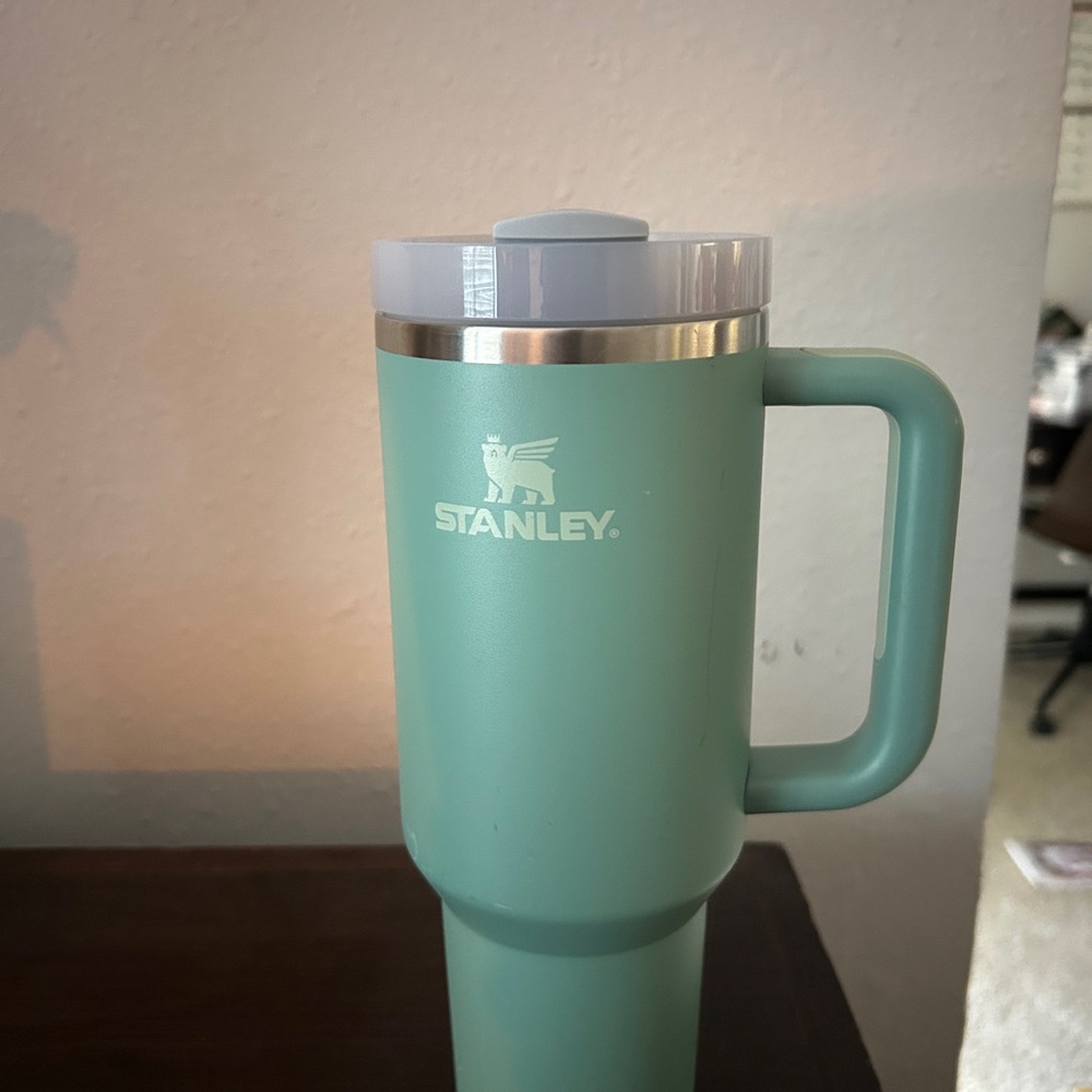 Stanley Mint Green Tunmbler